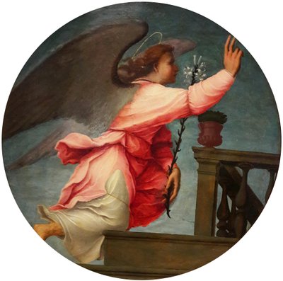 Angelo dell